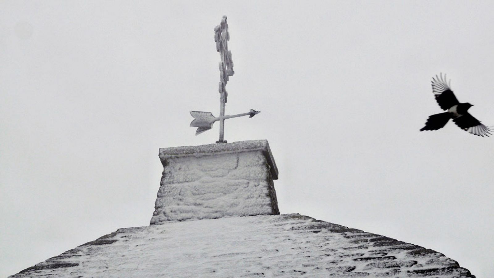 El tiempo: Heladas en el interior de la Península y  viento fuerte en el Cantábrico y Pirineos | RTVE Play