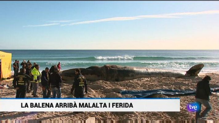 Informatiu Balear - Informatiu Balear - 28/01/19