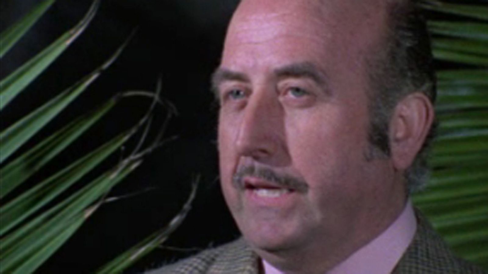 Raíces - La voz antigua (I) - Raíces | Ver