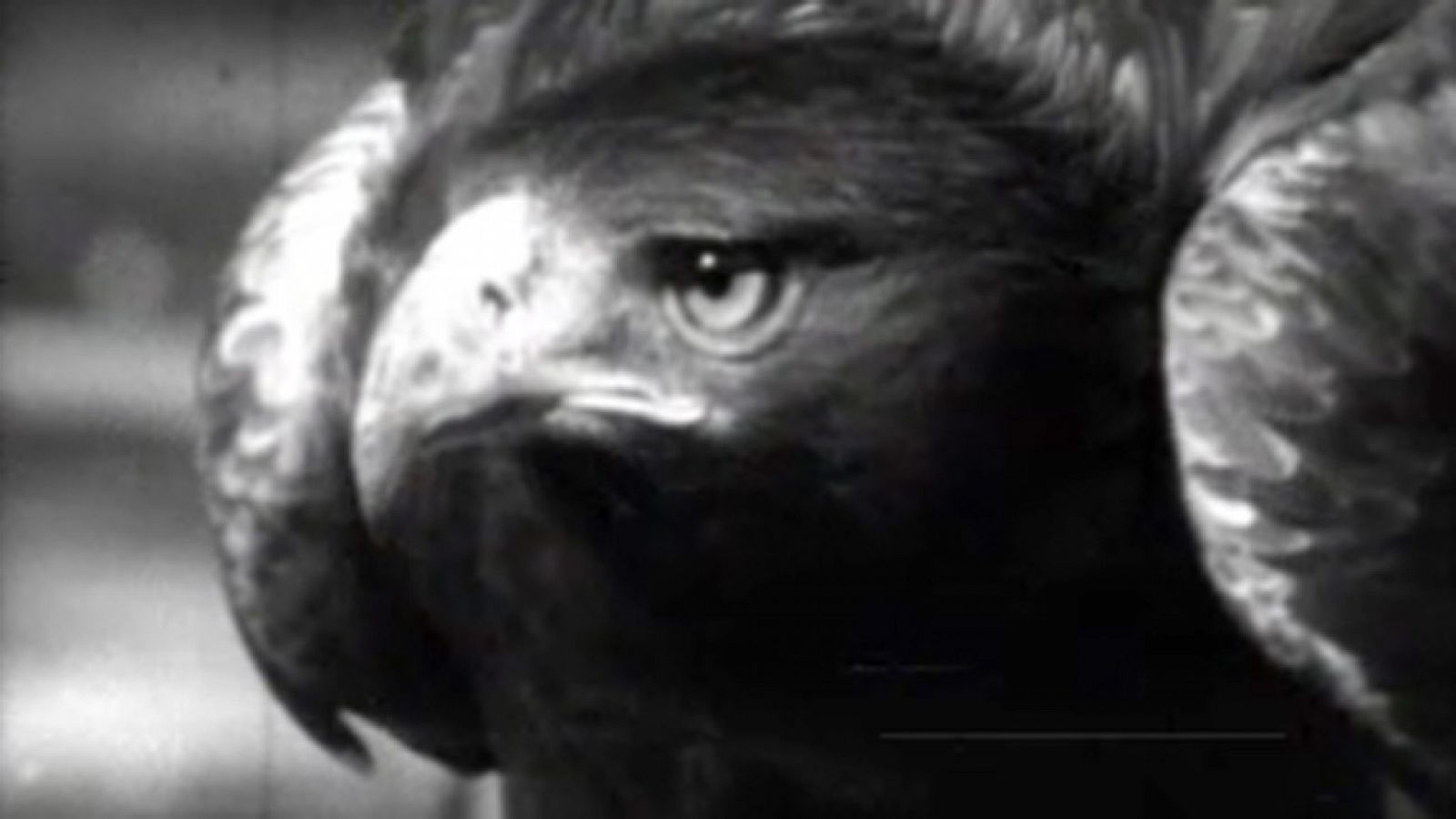 El planeta azul - La muerte de un emblema - El planeta azul | Ver