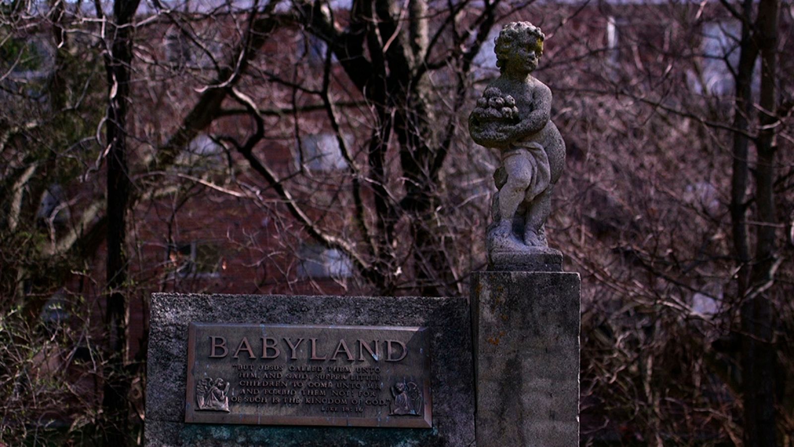 Documentos TV - Solo Dios puede curar - ver ahora