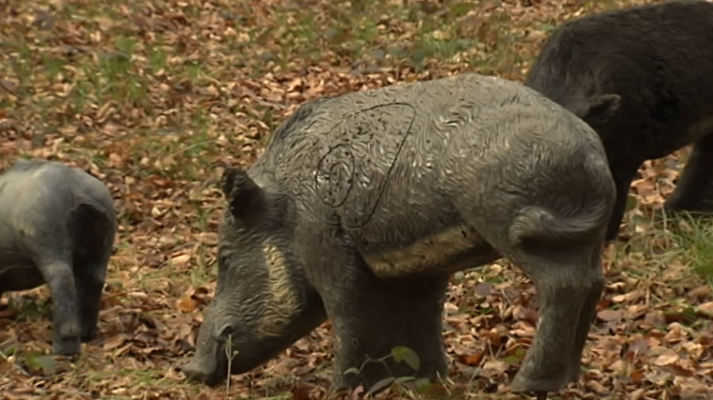 España en 24h - España en 24 horas - 31/01/19