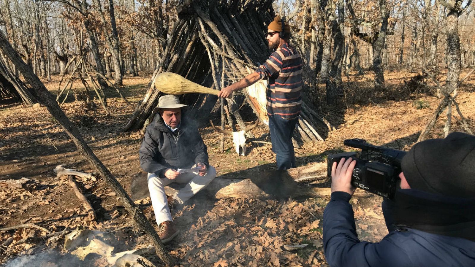 Bisontes, uros y otros animales en Burgos