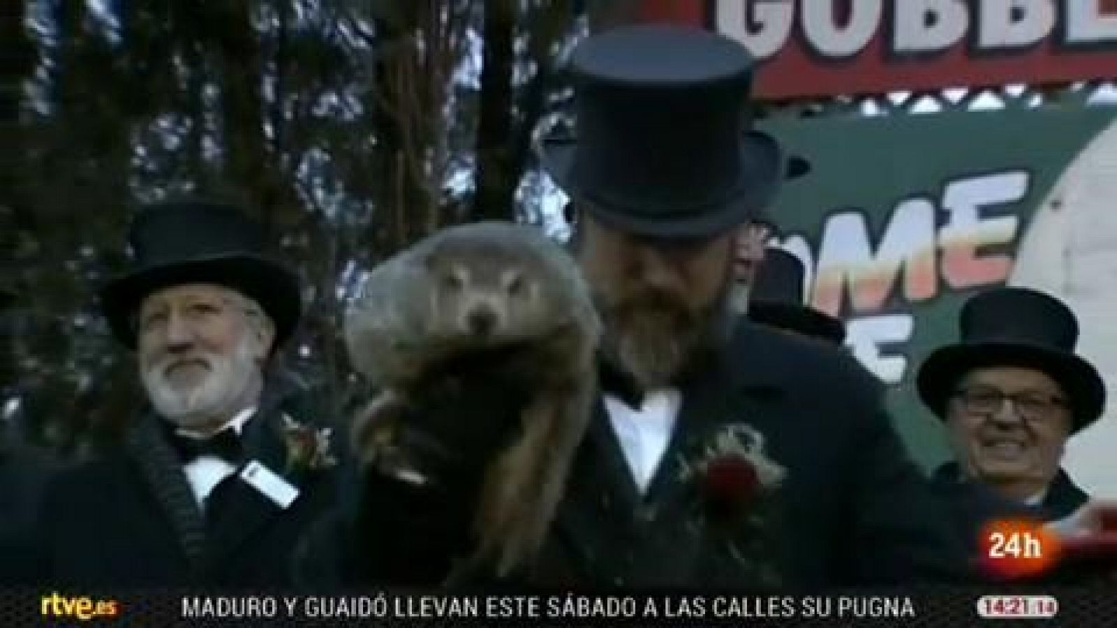 La marmota Phil predice que la primavera llegará pronto a Estados Unidos