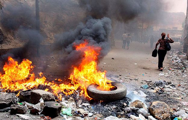 Egipto sacrifica su cabaña porcina