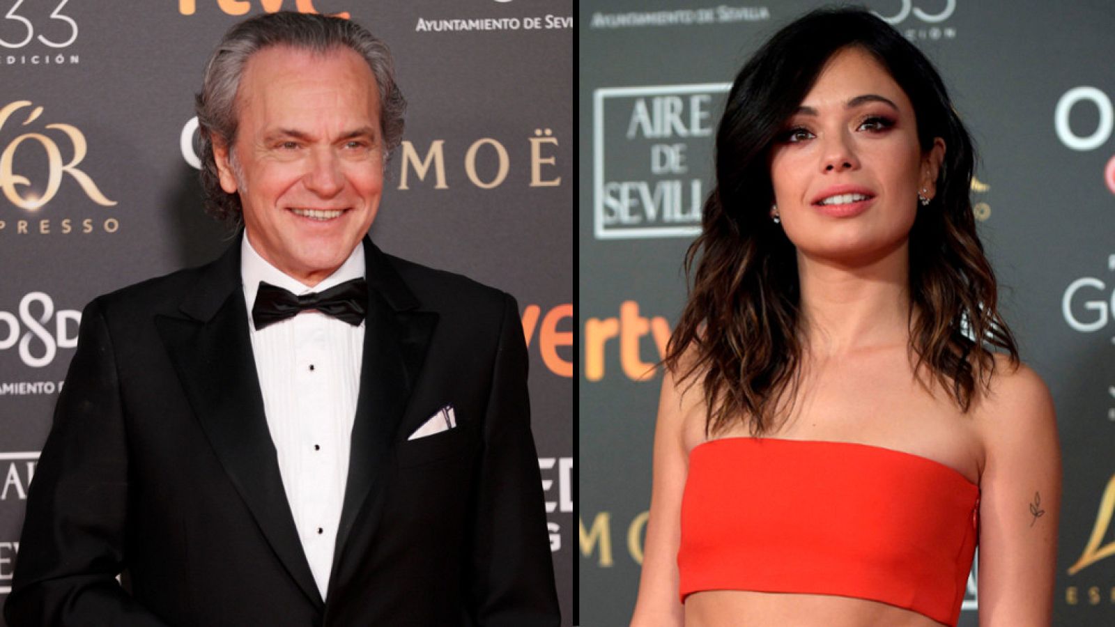 Premios Goya 2019 - Especial Alfombra Roja - ver ahora