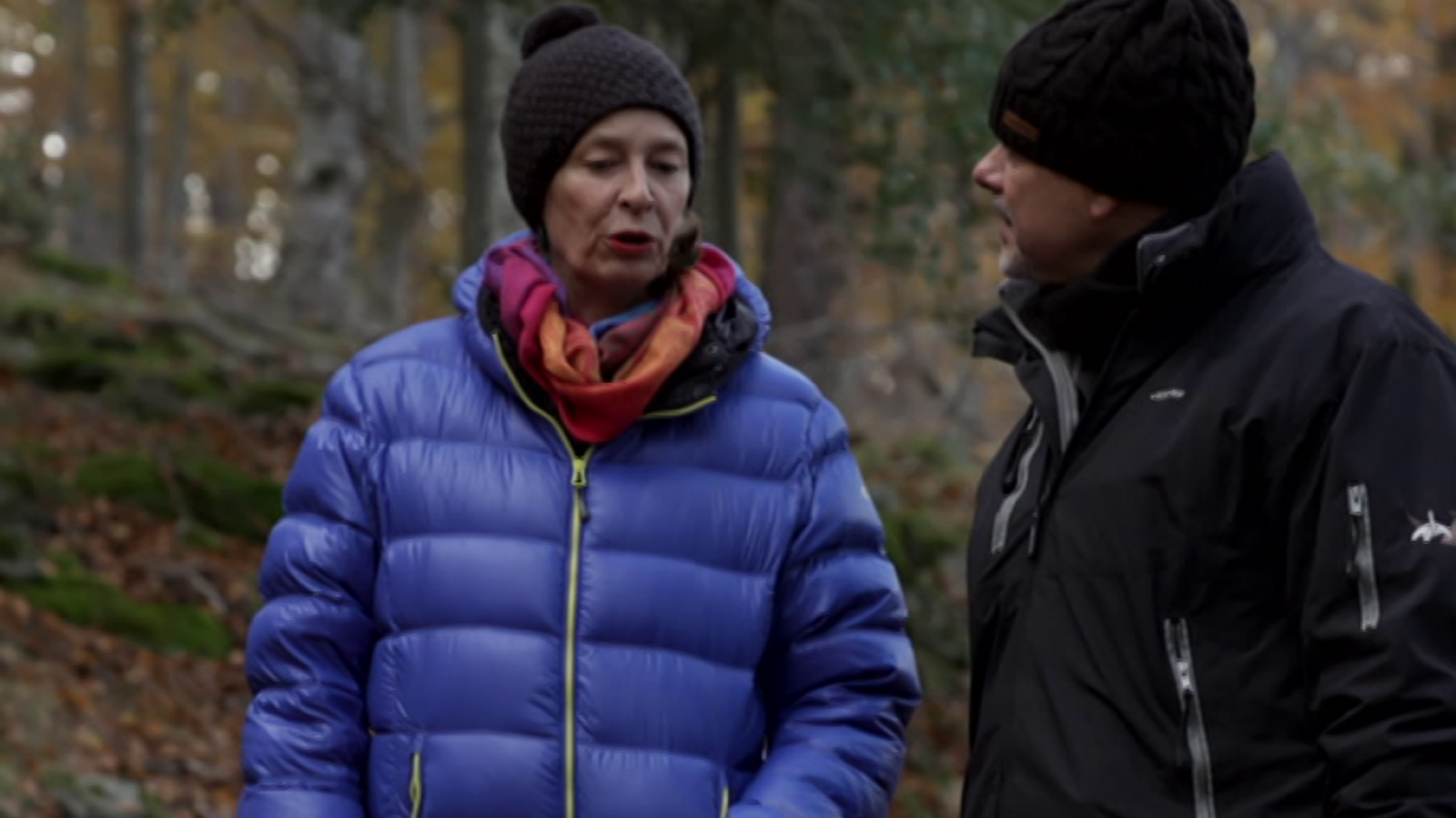 El señor de los bosques - Sierra de Cebollera - ver ahora