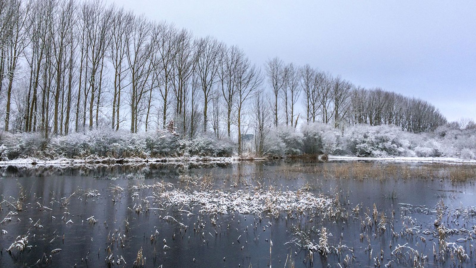 Heladas débiles en zonas de Baleares y calimas en Canarias - ver ahora