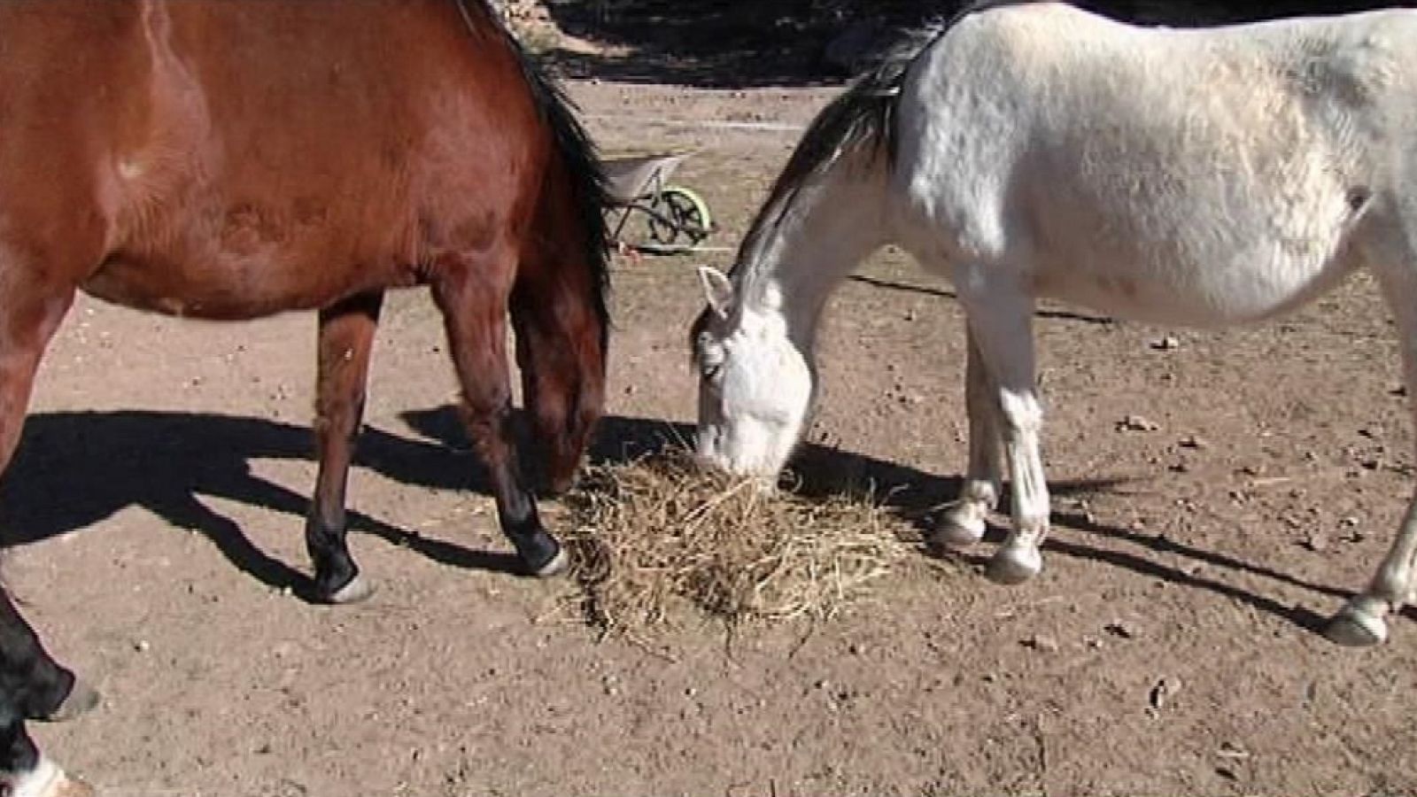 La Comunidad Valenciana en 2' - 05/02/19 - ver ahora