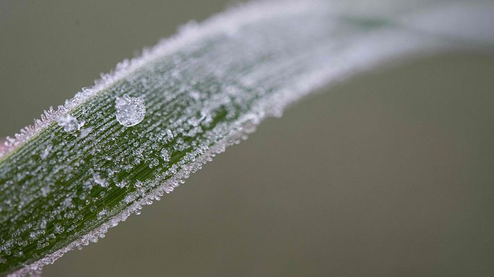 Temperaturas en ascenso en todo el país, heladas débiles en Baleares