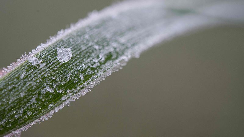 Temperaturas en ascenso en todo el país, heladas débiles en Baleares - ver ahora