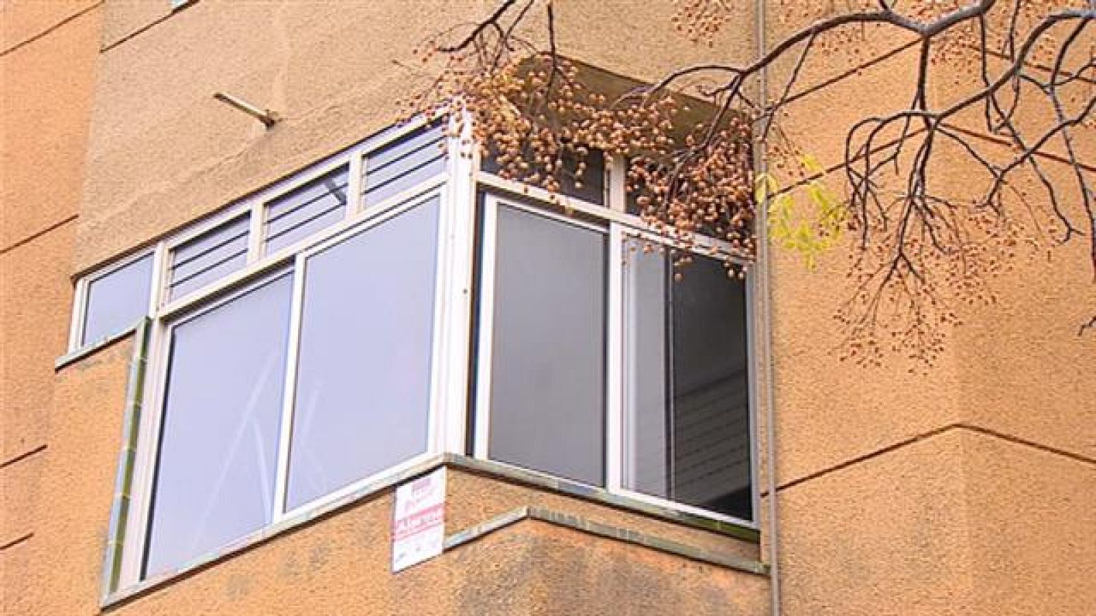 Telecanarias: Canarias en 2' - 05/02/2019 | RTVE Play