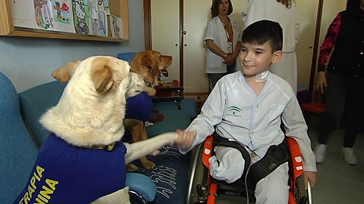 España en 24h - España en 24 horas - 05/02/19