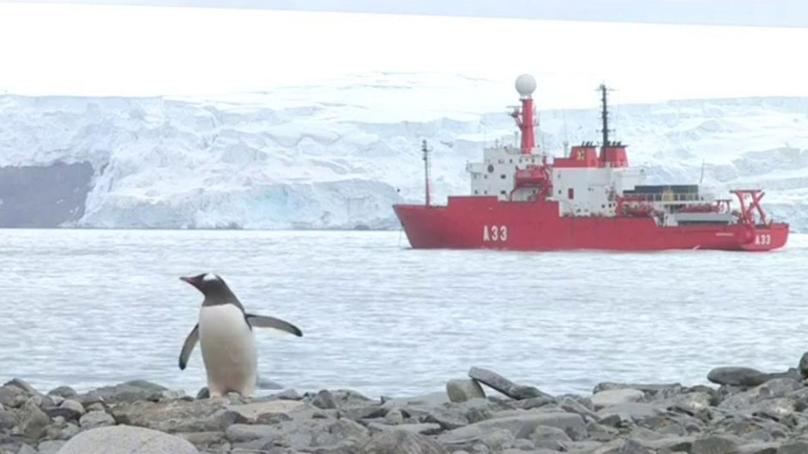 La tarde en 24 horas - La Barra - Ciencia - 05/02/19 - ver ahora