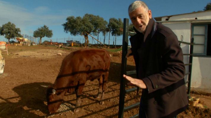 Aquí la Tierra - Iturriaga, campo y migas