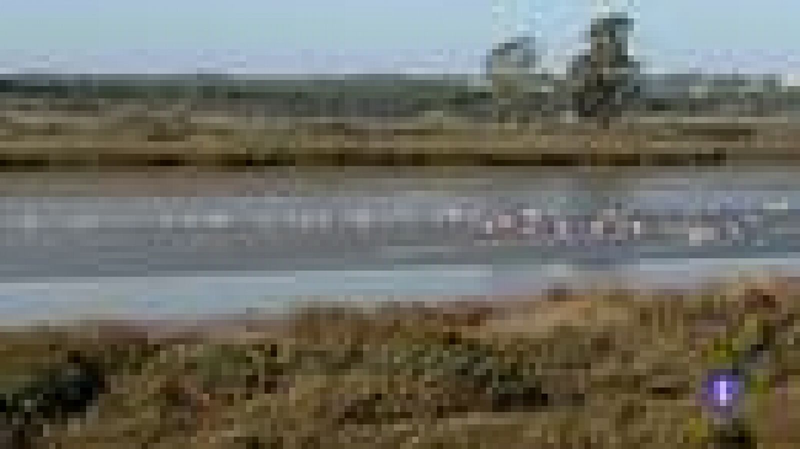 Andalucía en 2' - 06/02/2019 | Ver