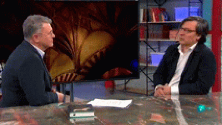 La aventura del Saber - La historia en 'La Corte del Califa' de Eduardo Manzano