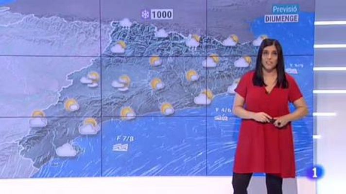 L'Informatiu - El Temps - 08/02/2019