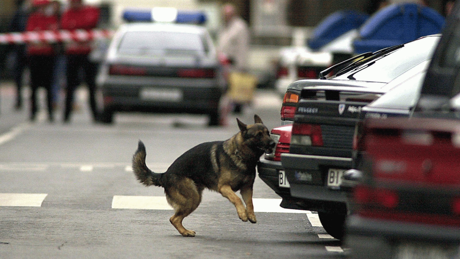 El primer perro en España especializado en encontrar restos biológicos se retira con honores