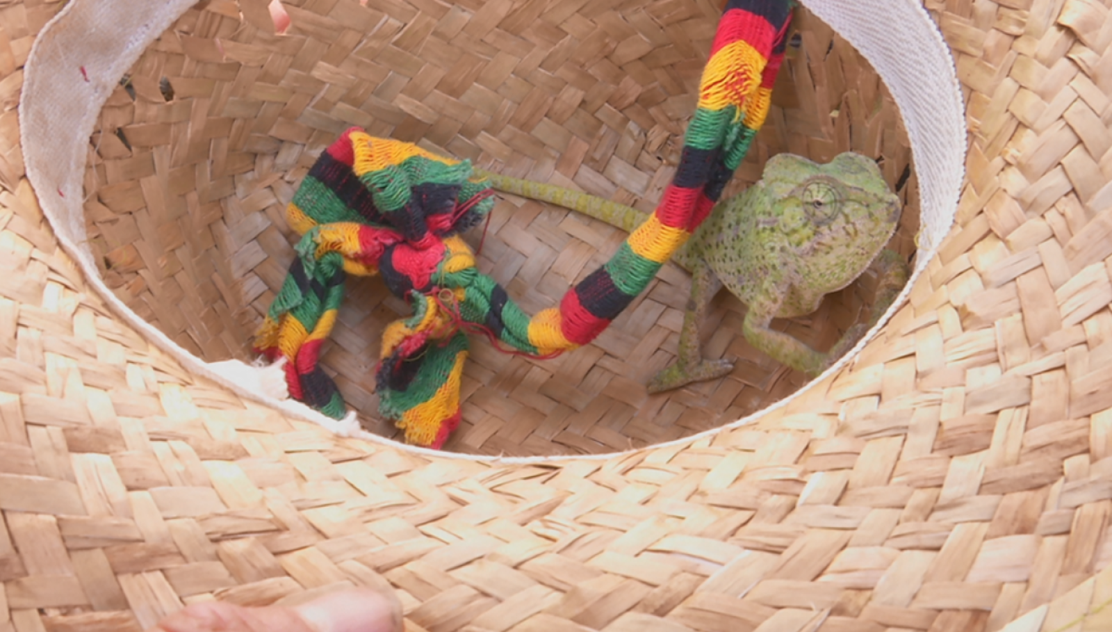 Aquí la Tierra - 08/02/19 - ver ahora