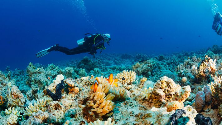 Telediario 1 - La historia de Carlos Mallo, el joven español que dejó su trabajo para salvar los océanos