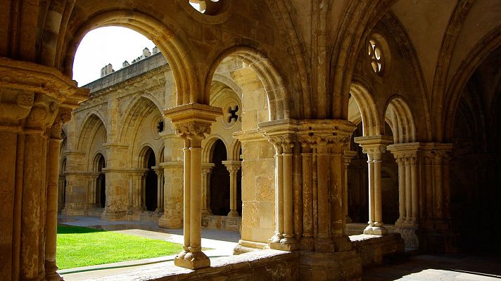 Telediario 1 - Una especie desconocida hasta ahora de hongo amenaza la Catedral Vieja de Coimbra