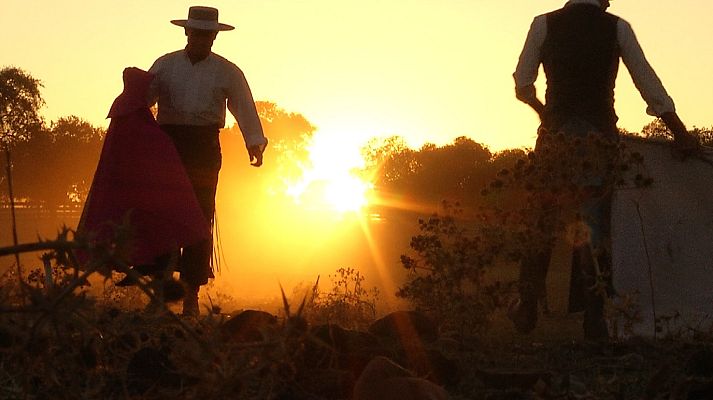 Tendido cero - Tendido Cero - 09/02/19