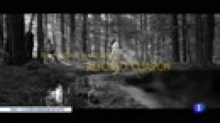 Telediario 1 - 'Roma' de Alfonso Cuarón, gana los BAFTA a Mejor Película y Director