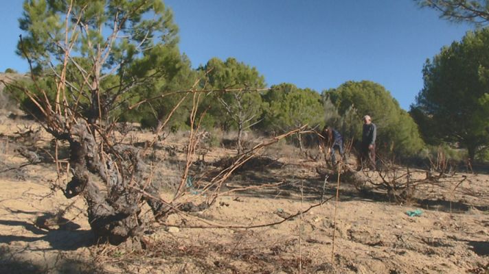 Aquí la Tierra - Aquí la Tierra - 11/02/19