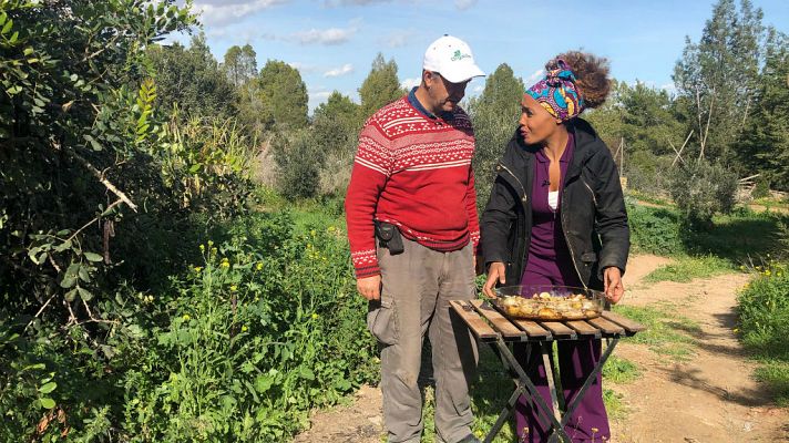 ¿Conoces el rábano negro, la colocasia o el tupinambo? 