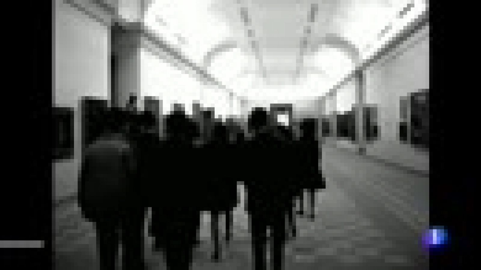 Las mejores imágenes del Museo del Prado