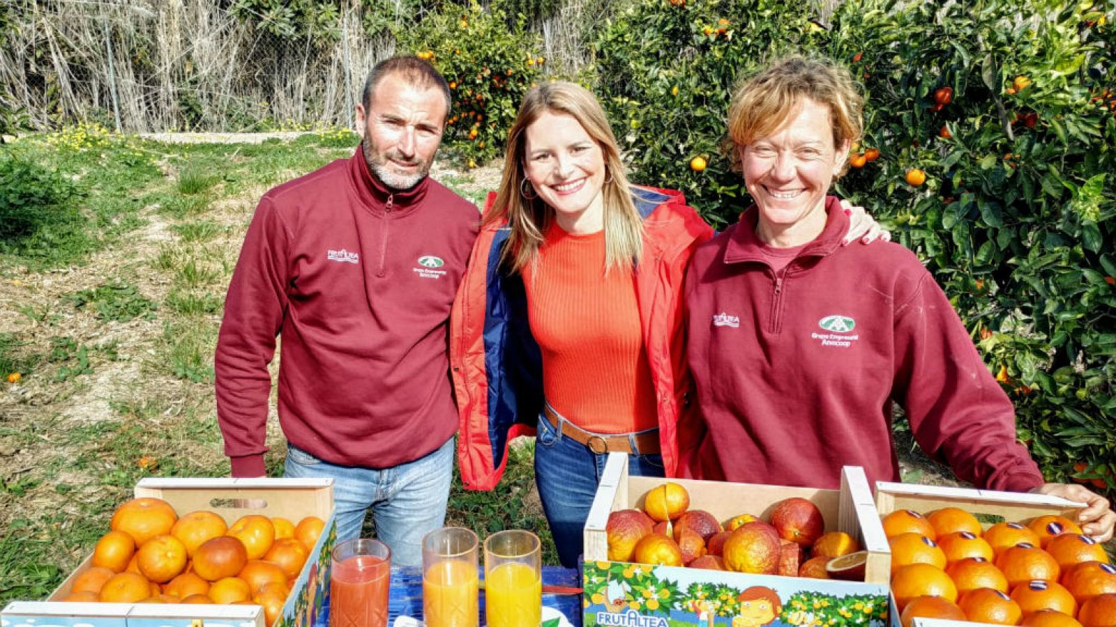 Saboreamos la naranja Tarocco Rosso