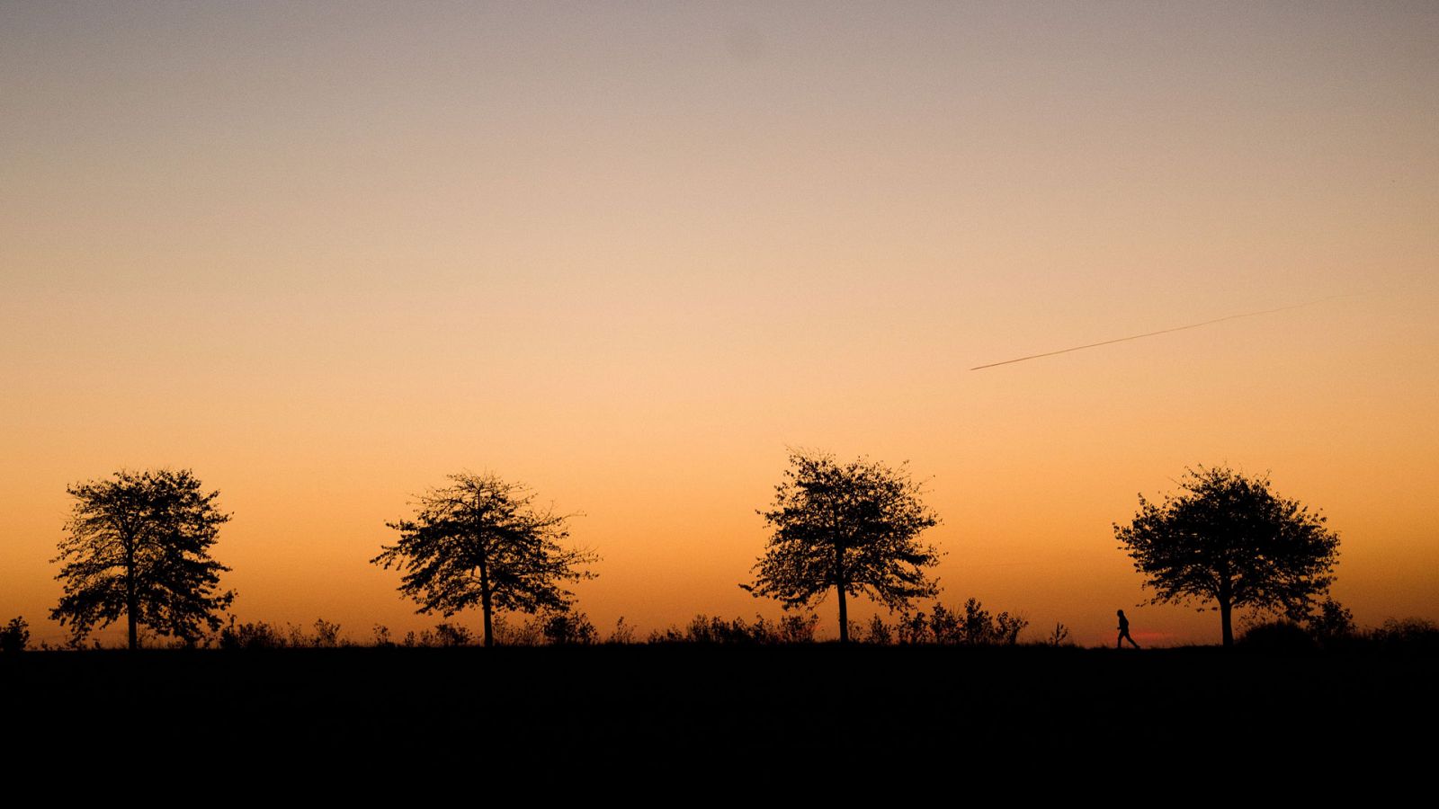El Tiempo en la Comunidad de Madrid - 14/02/19- ver ahora