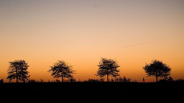Informativo de Madrid - El Tiempo en la Comunidad de Madrid - 14/02/19