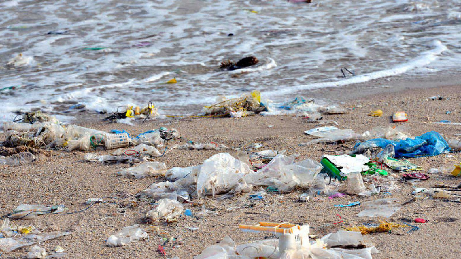 En el año 2050, de seguir a este ritmo, habrá más plástico en el mar que organismos vivos