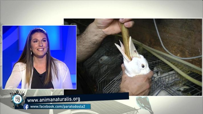 Los derechos de los animales según la ong Anima Naturalis