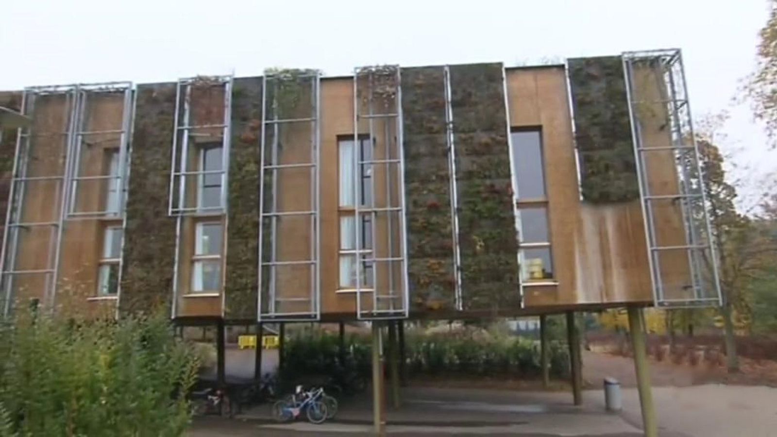 Otros documentales - Construcciones ecológicas: La Eco-construcción y los árboles - ver ahora