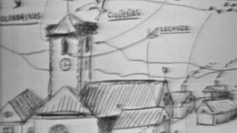 El planeta azul - P�jaros en la ciudad