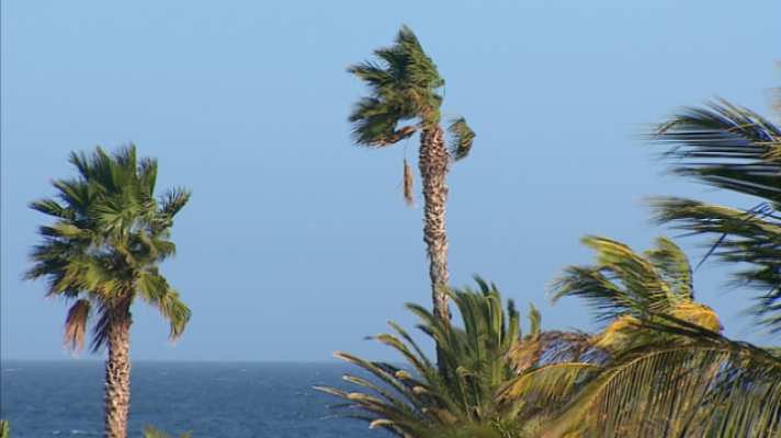 Telecanarias 2 - 14/02/2019