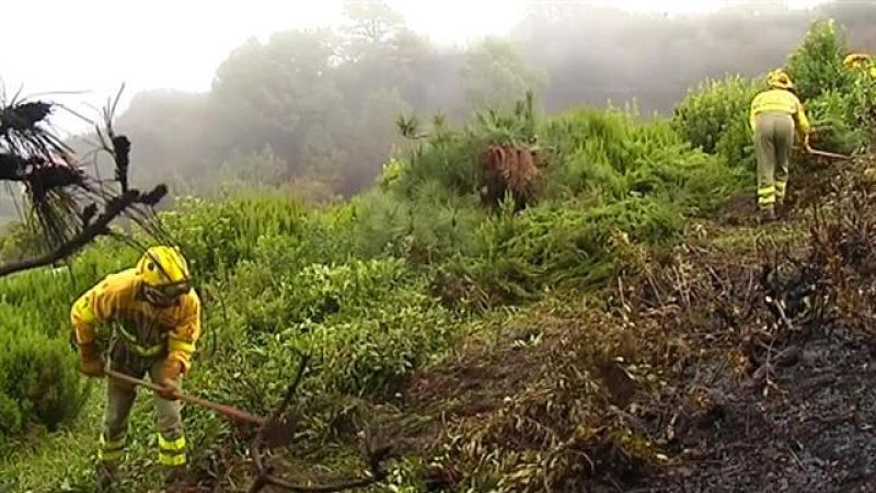 Canarias en 2' - 15/02/2019