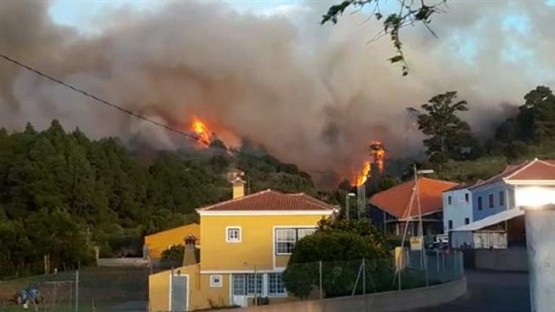 Telecanarias - 15/02/2019