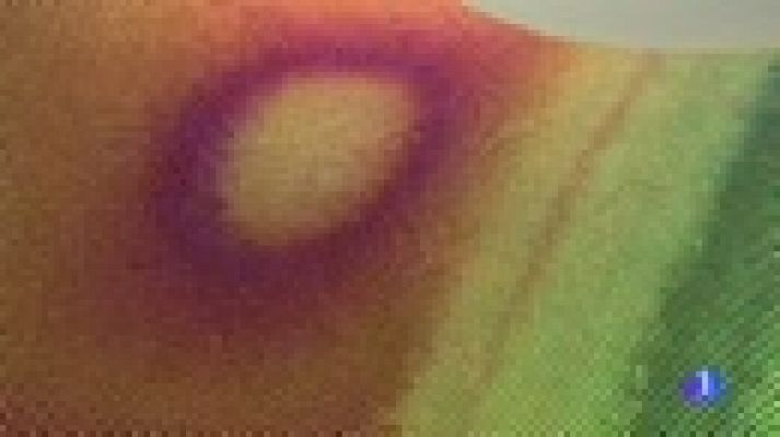 Telediario 1 - El Museo del Diseño de Barcelona acoge la exposición 'Nuestra sencilla relación con la tecnología'