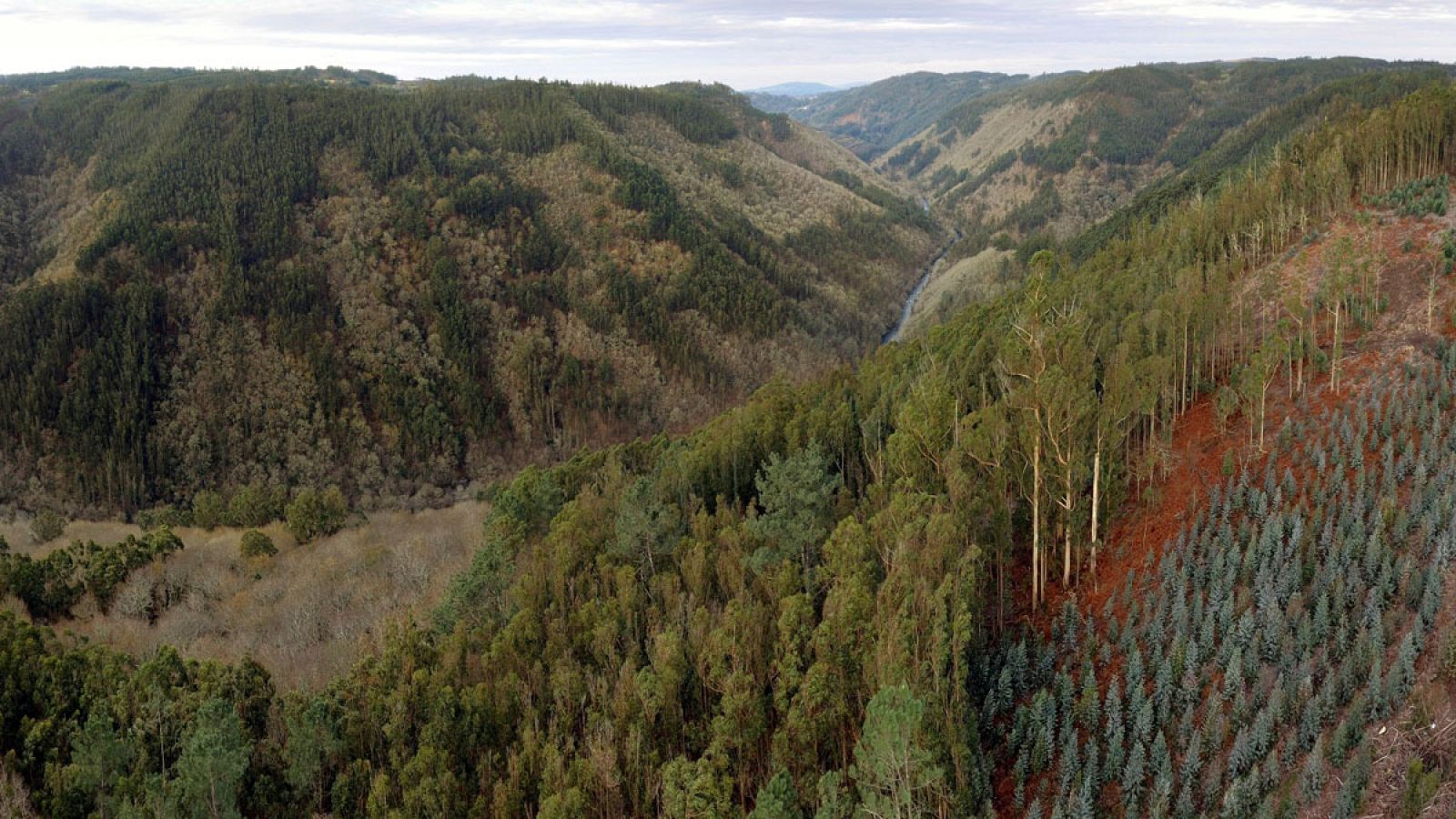 Cielos poco nubosos y temperaturas mínimas en ascenso