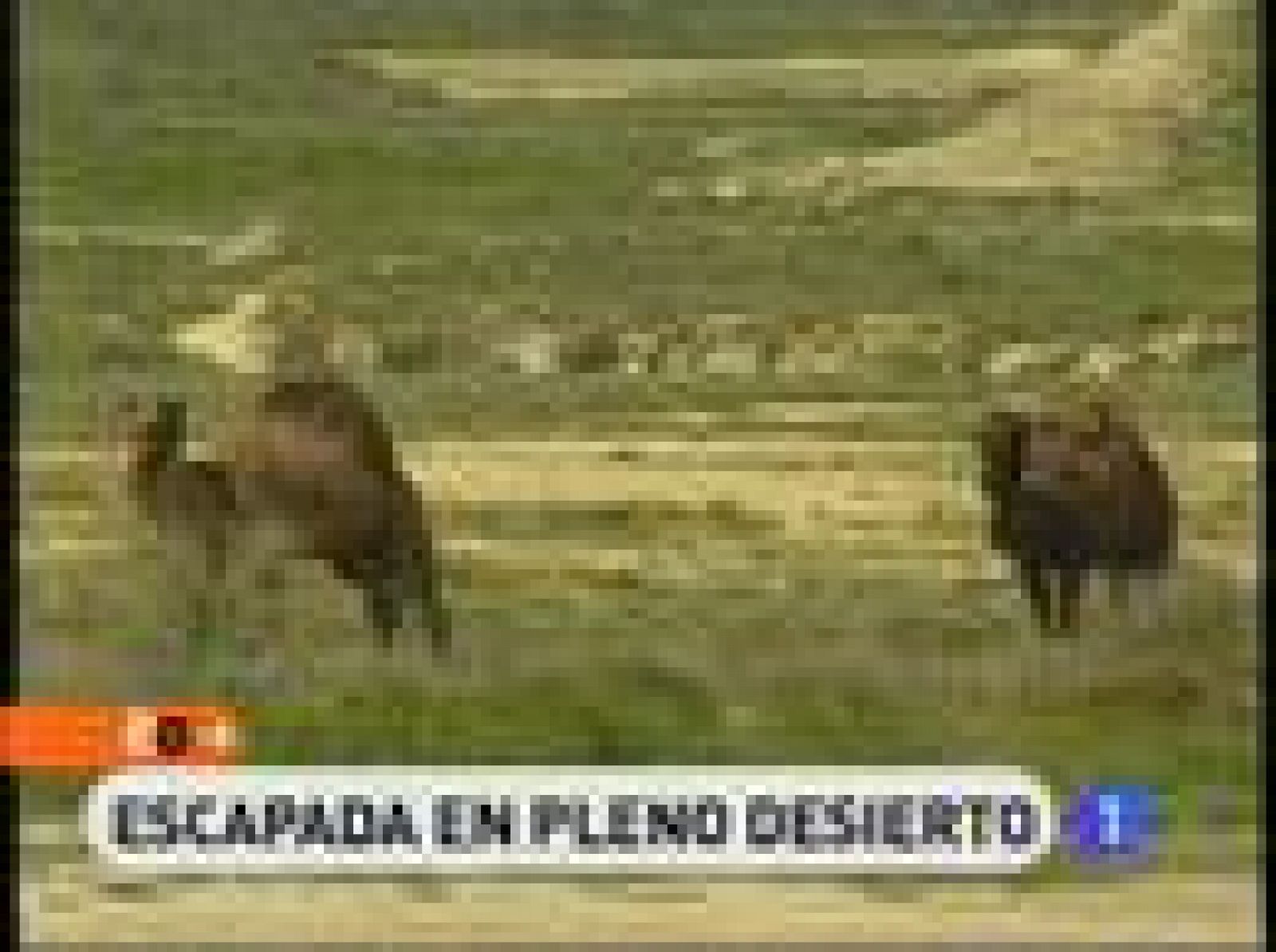 España Directo: El desierto de Los Monegros | RTVE Play