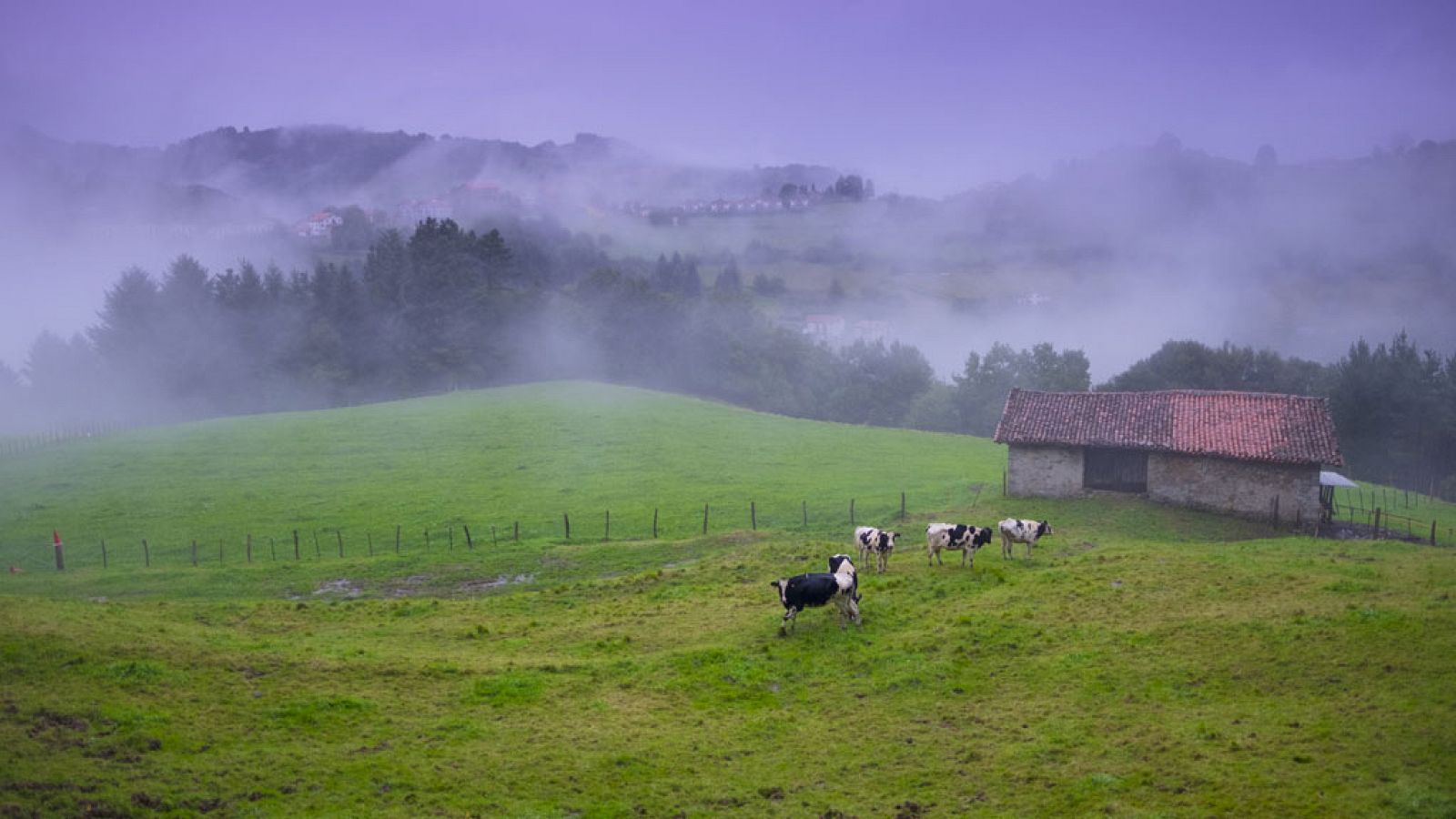 Cielo despejado, salvo en Galicia donde lloverá de forma persistente - Ver ahora