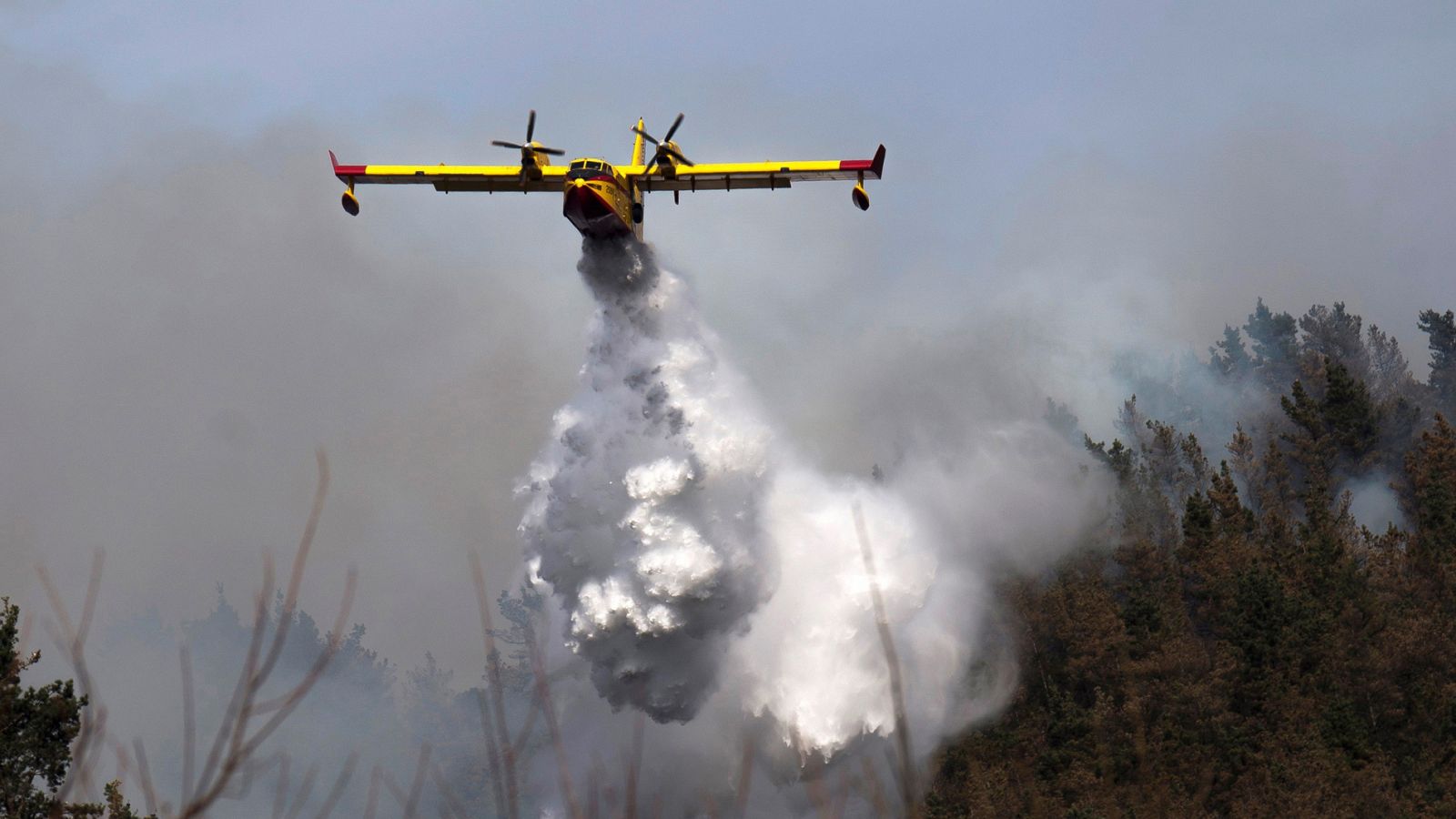 Telediario 1: Permanecen activos medio centenar de incendios forestales en Cantabria | RTVE Play