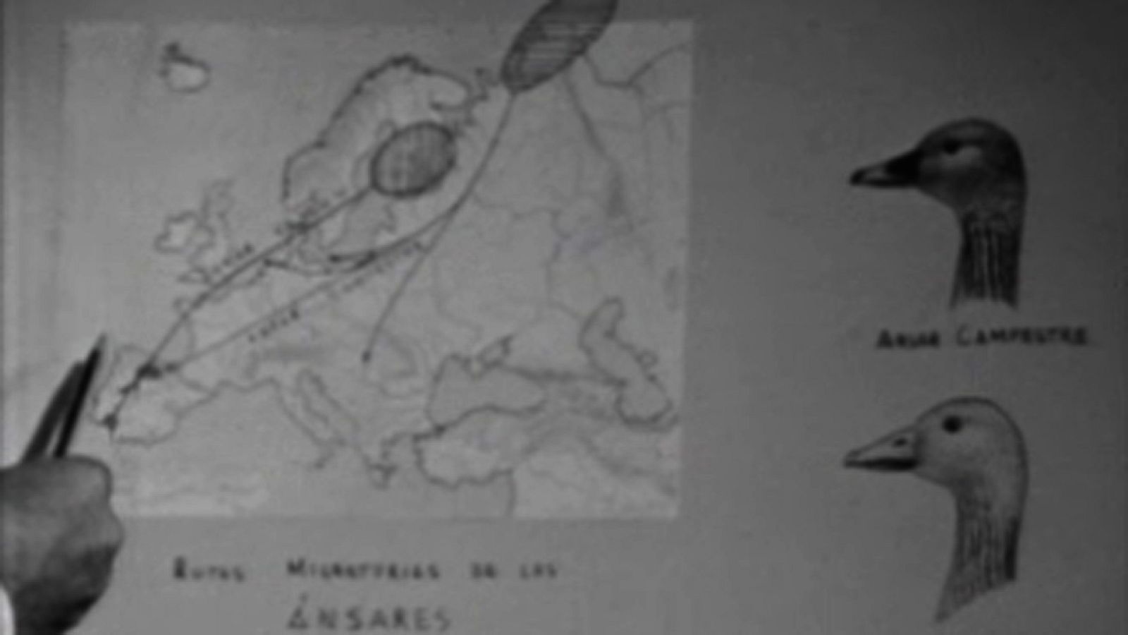 El planeta azul - Viajeros celestes - El planeta azul | Ver