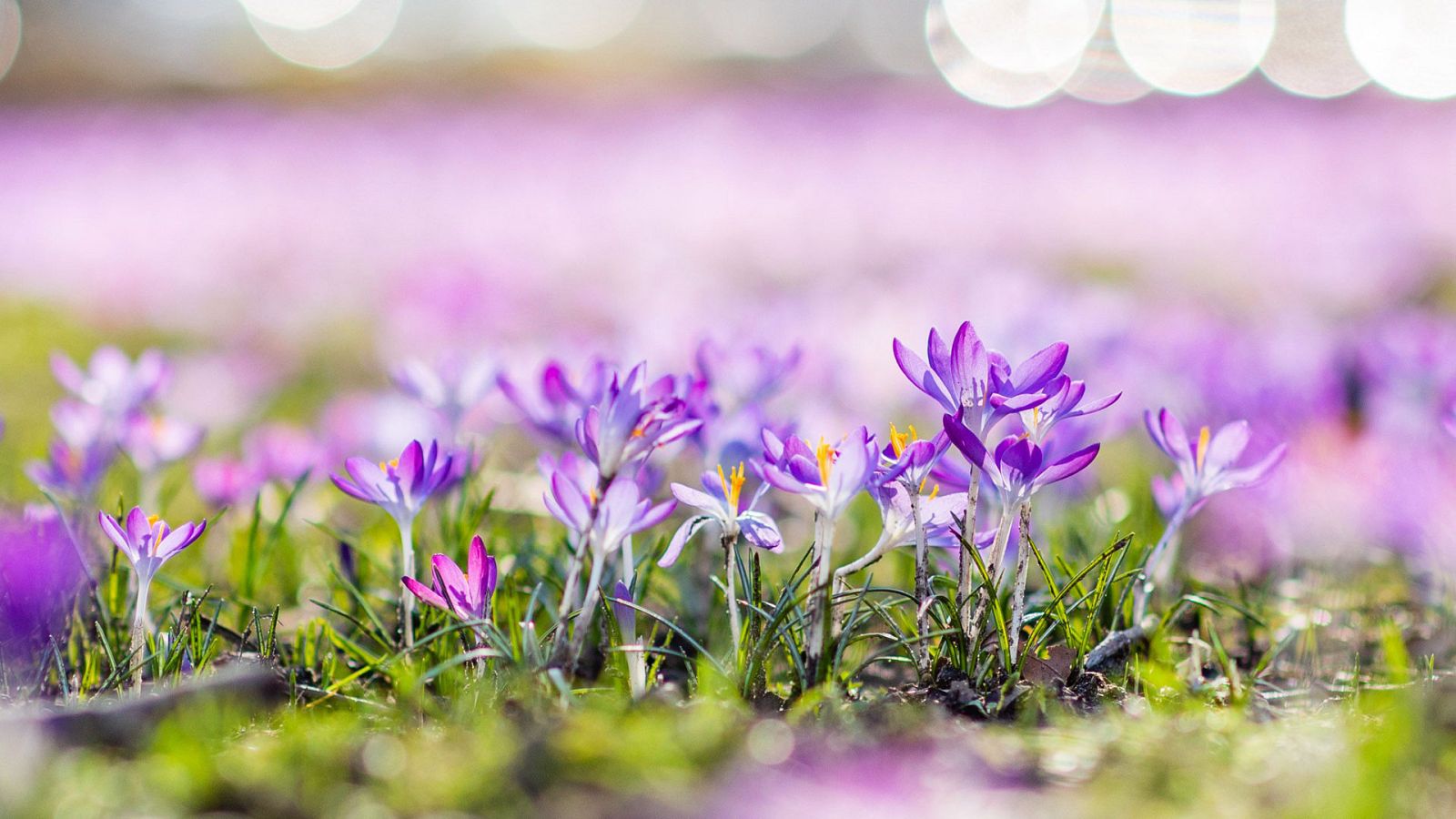 El Tiempo en la Comunidad de Madrid - 18/02/19 - VER AHORA