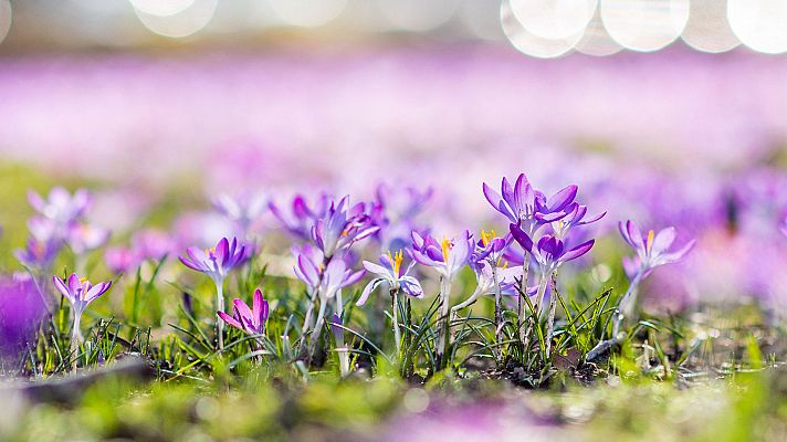 Informativo de Madrid - El Tiempo en la Comunidad de Madrid - 18/02/19