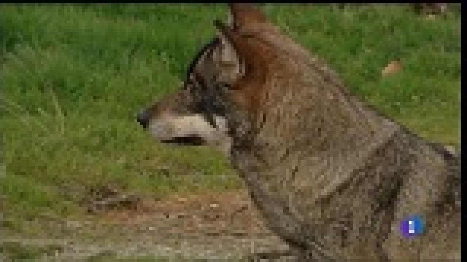 Panorama Regional 2 - 18/02/19 | Ver